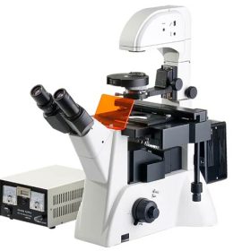 Inverted Fluorescence Microscope XDY-2